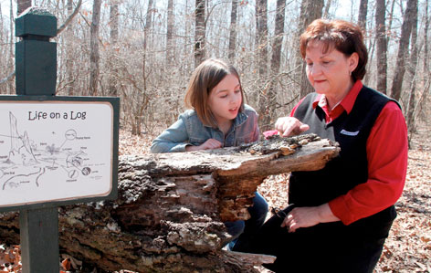 Rethink Green: Bridgestone Environmental Programs